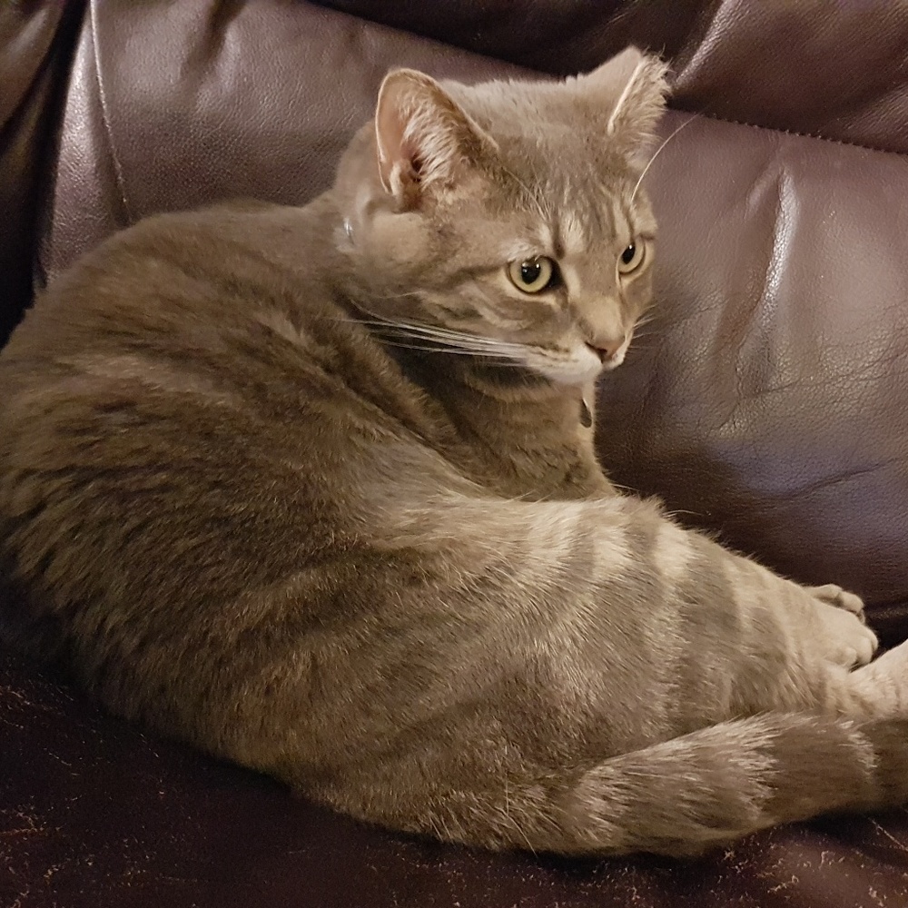 Meet your Posher, Chloe